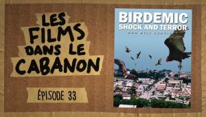 Les Films dans le Cabanon #33 – Birdemic: Shock and Terror